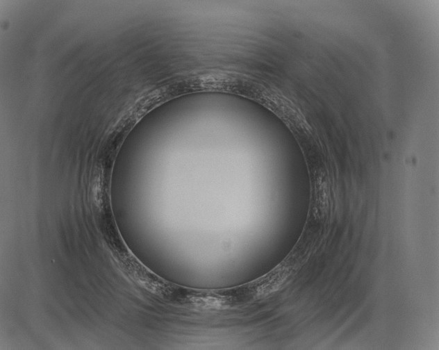 X0000083060698200702161757