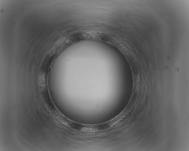 X0000083060699200702161757