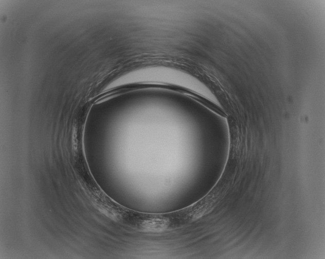 X0000083060700200702161757