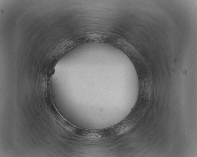 X0000083060702200702161757