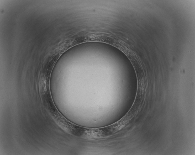 X0000083060703200702161757