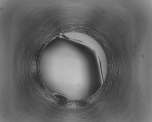 X0000083060704200702161757