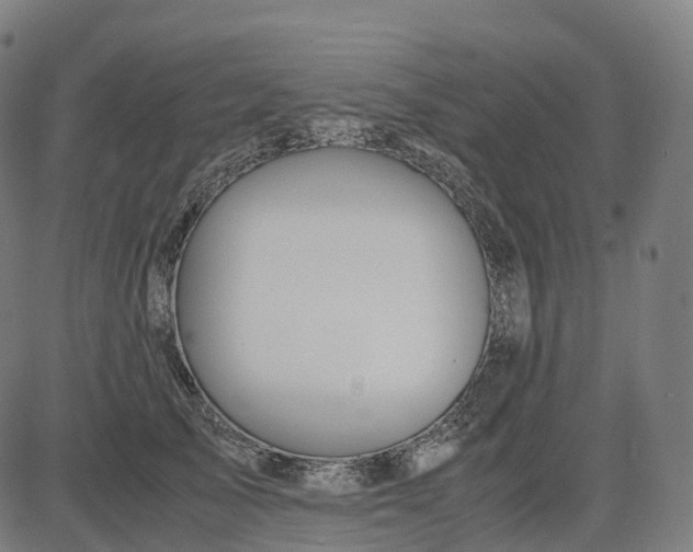 X0000083060705200702161757