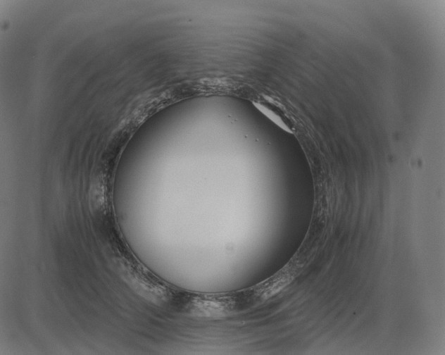 X0000083060706200702161757