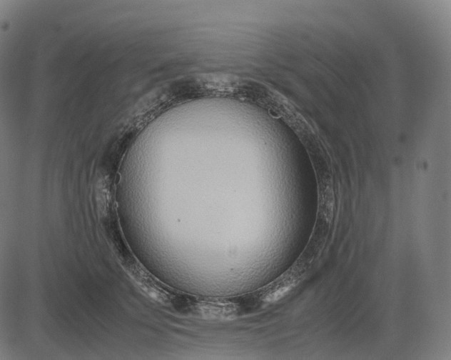 X0000083060707200702161757