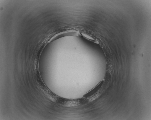 X0000083060708200702161757