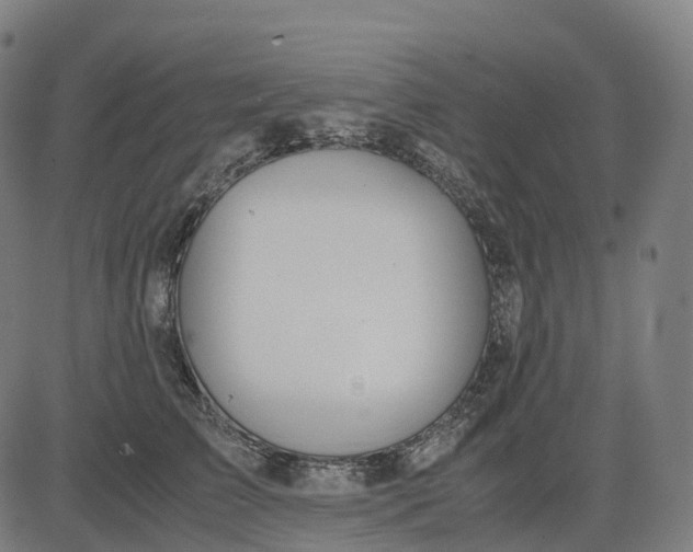 X0000083060709200702161756