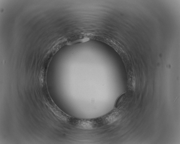 X0000083060710200702161756