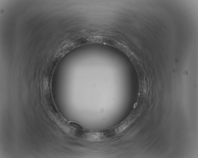 X0000083060711200702161756