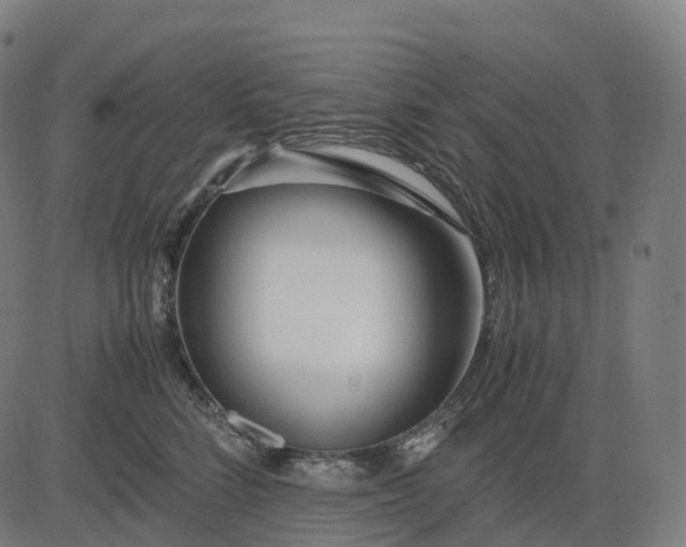 X0000083060712200702161756