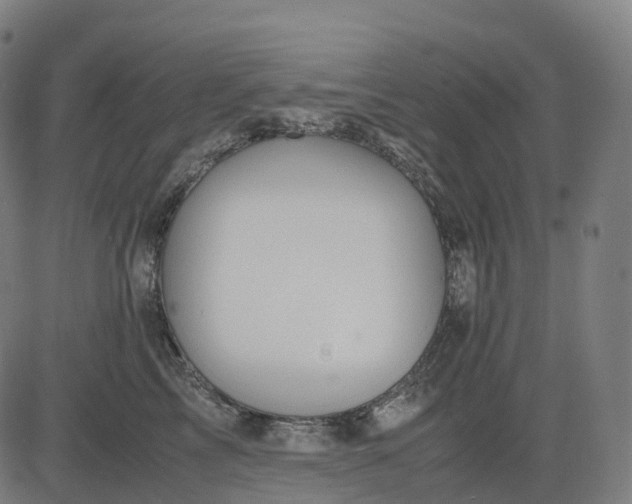 X0000083060713200702161756