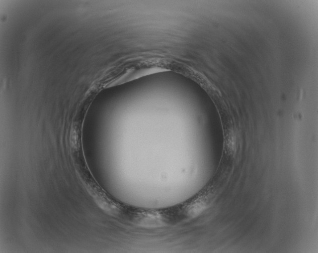 X0000083060715200702161756