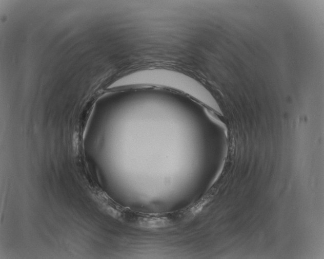 X0000083060716200702161756