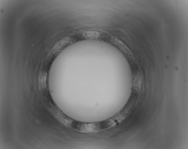 X0000083060717200702161756