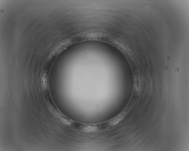 X0000083060718200702161756