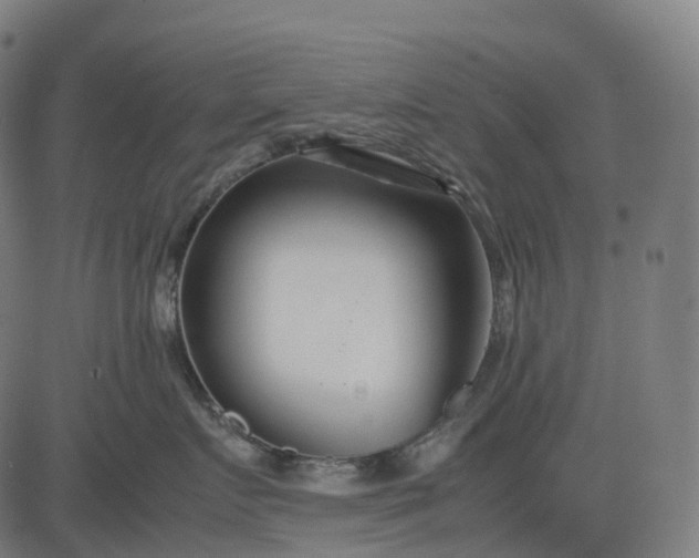 X0000083060719200702161756