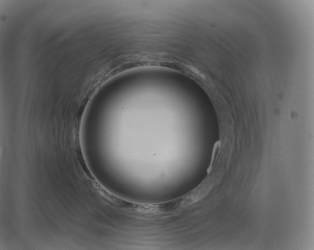 X0000083060720200702161756