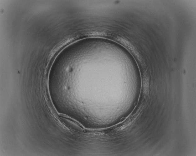 X0000083060721200702161756