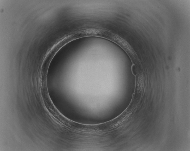 X0000083060722200702161756