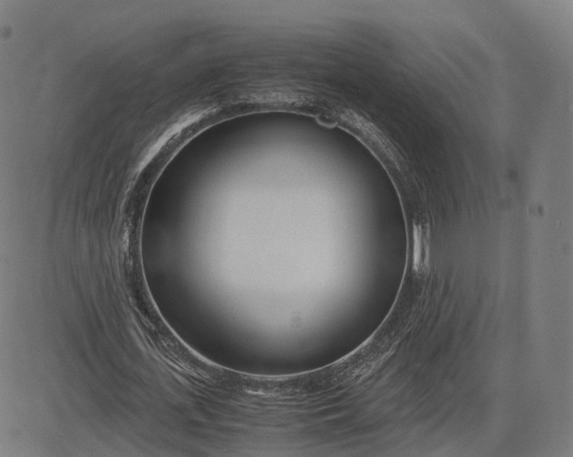 X0000083060723200702161756