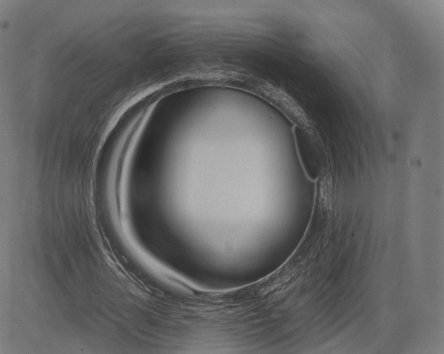 X0000083060724200702161756