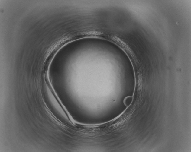 X0000083060725200702161756