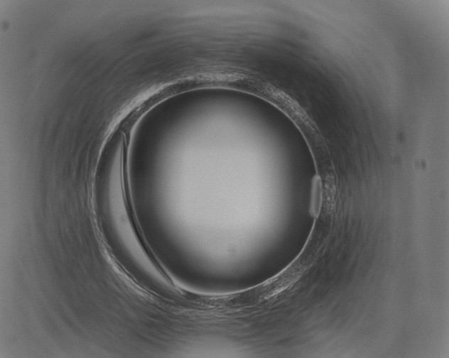 X0000083060726200702161756