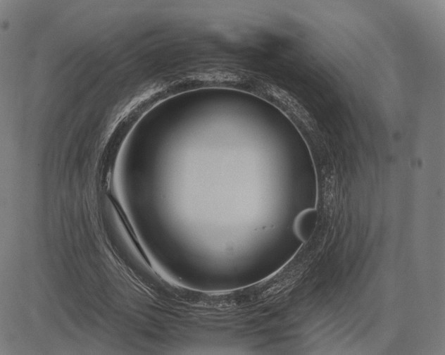 X0000083060727200702161756