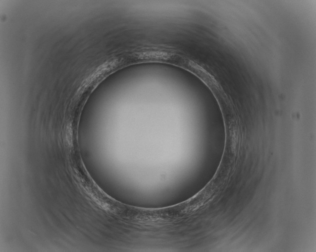 X0000083060729200702161756