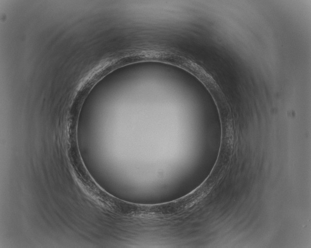 X0000083060730200702161756