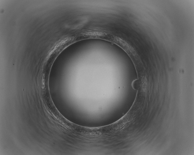 X0000083060731200702161756