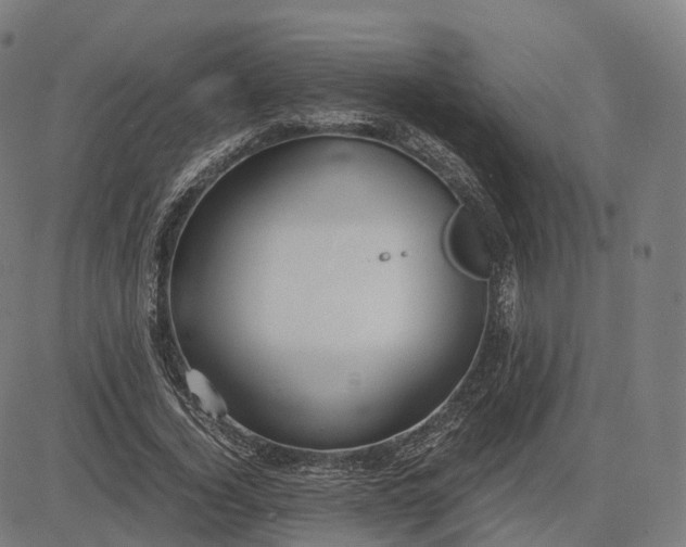 X0000083060732200702161756