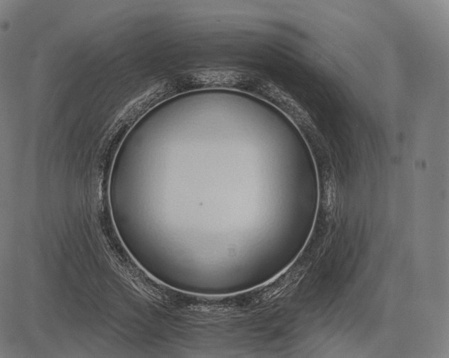 X0000083060733200702161756