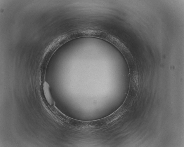 X0000083060734200702161756