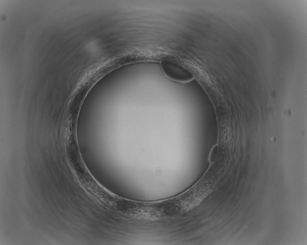 X0000083060736200702161756