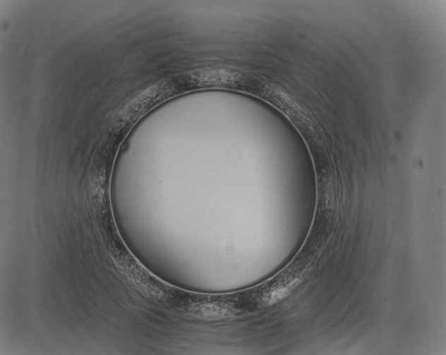 X0000083060737200702161756