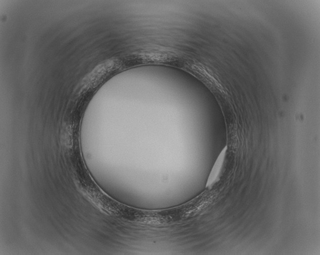 X0000083060738200702161756