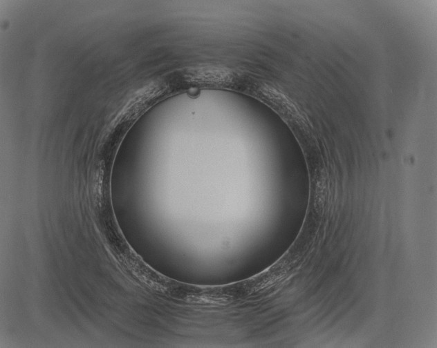 X0000083060739200702161756