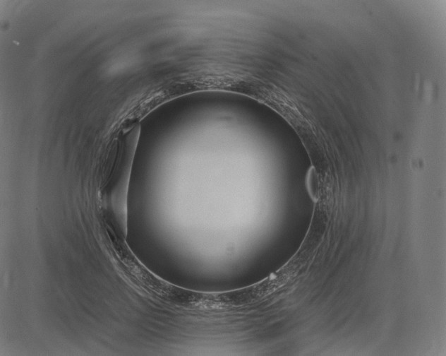 X0000083060742200702161756