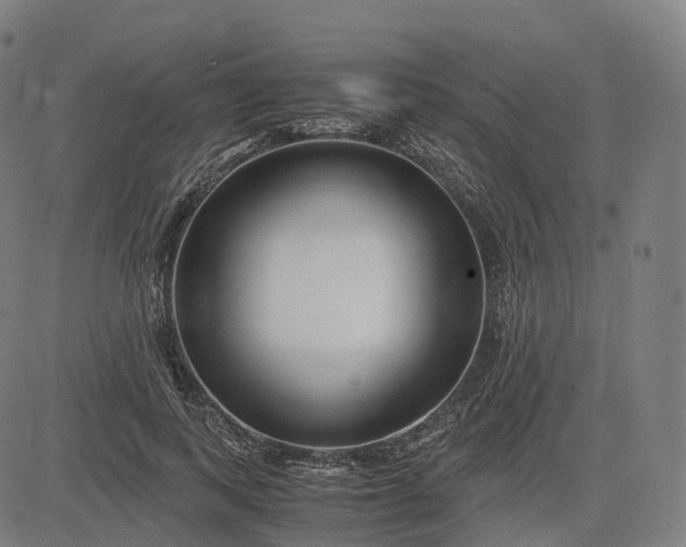 X0000083060743200702161756