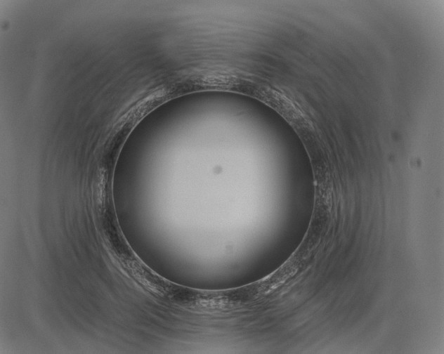 X0000083060744200702161756