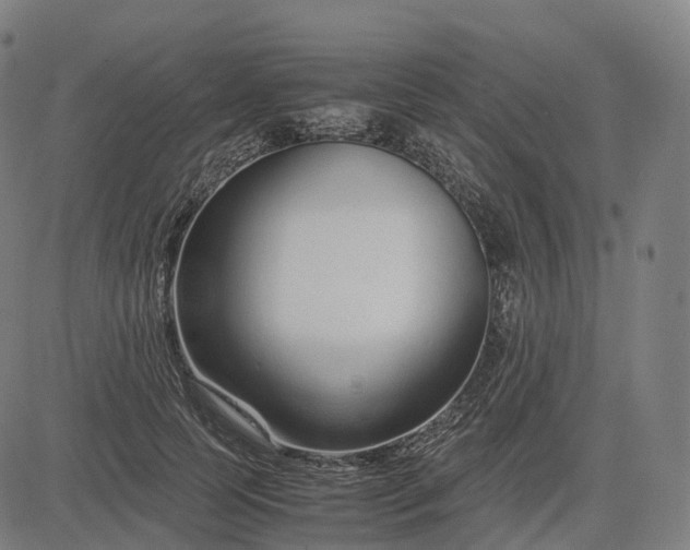 X0000083060745200702161756