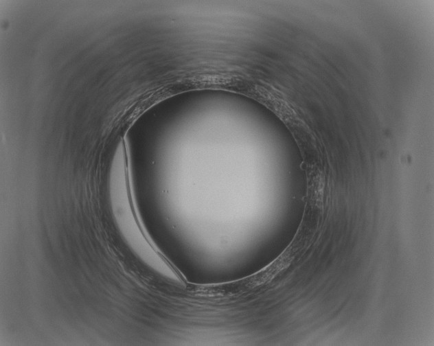 X0000083060746200702161756