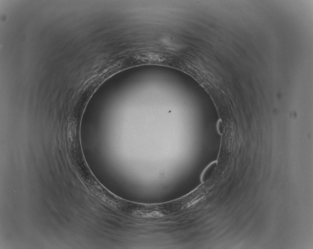 X0000083060747200702161756