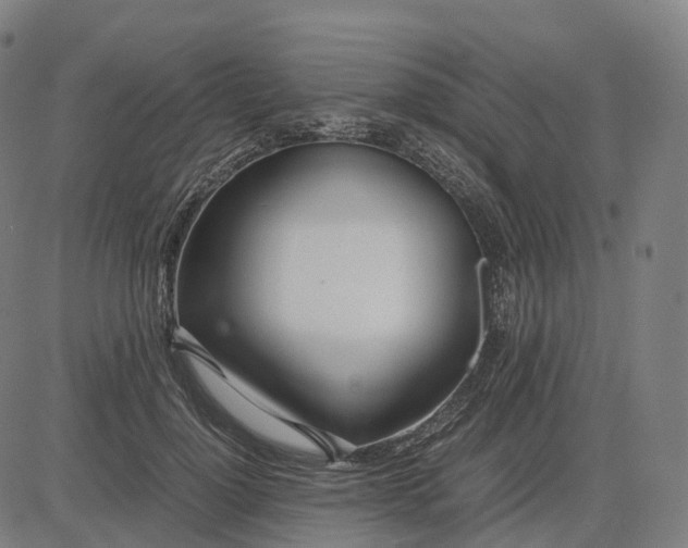 X0000083060748200702161756