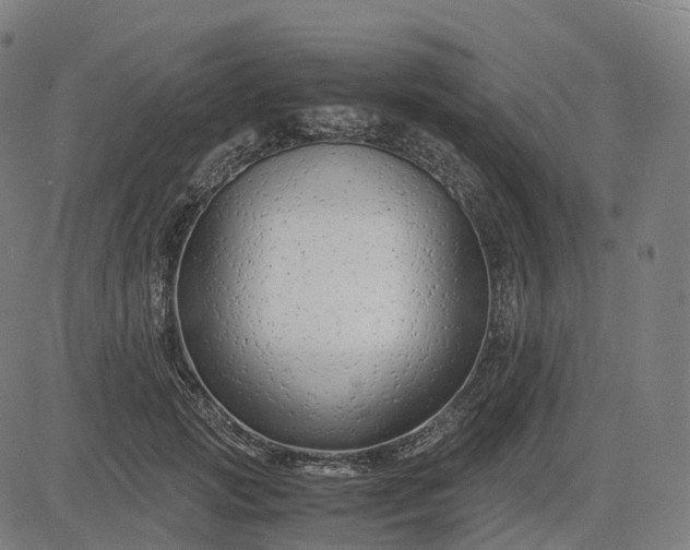 X0000083060749200702161756