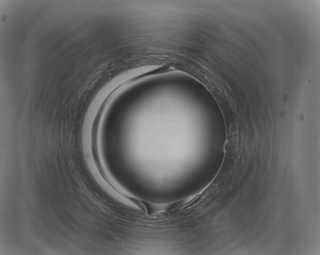 X0000083060750200702161756