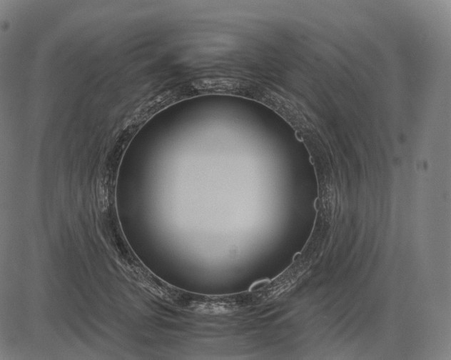 X0000083060751200702161756