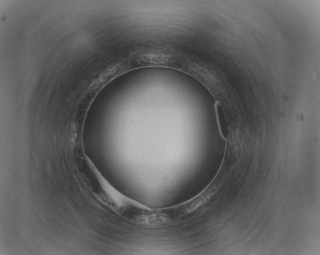 X0000083060752200702161756