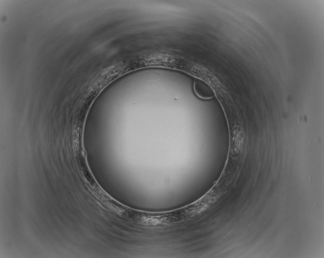 X0000083060753200702161756